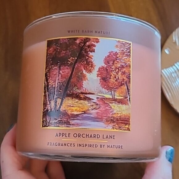 APPLE ORCHARD LANE 3 Wick Candle Bath and Body Works - Picture 3 of 6